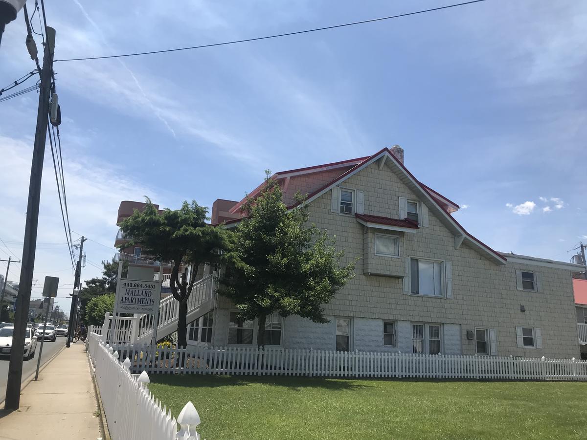 Mallard Apartments Ocean City Exterior foto